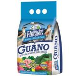 Guano fra Hoštice