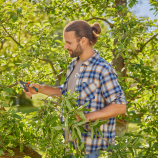 Gardena havesaks PremiumCut Pro Flex, dobbeltskærende, grønt træ, diameter på den at beskære gren op til 24 mm 12252-20