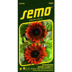 Semo Enårig solsikke Claret F1 8s