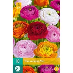 Ranunkel Ranunculus Mix "B"