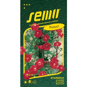 Semo Kvamoklit Kardinal, klatreplante, 1 g