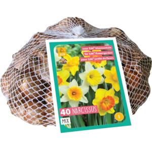 XXL Narcis Large Cupped Mix, 40 løg