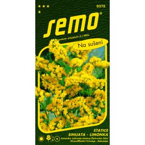 Semo Limonka Statica sinuata Gold Coast gul 0,5 g