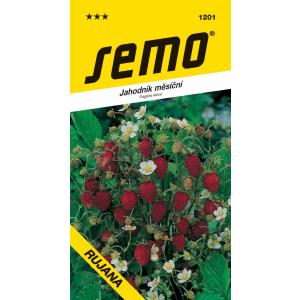 Semo Jordbærplante, månedlig, Rujána, 0,2 g