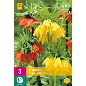 Kronblomst Fritillaria Imp.Mix "E"