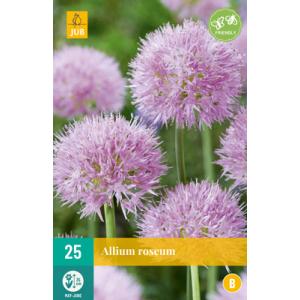 Hvidløg Allium Roseum "B"