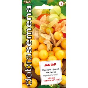 Gode frø af Mochna spiny Jantár ananas 0,2 g