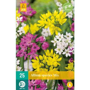 Hvidløg, Allium-arter, blanding »B«