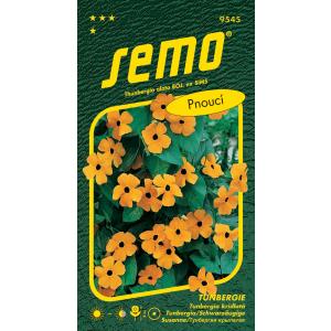 Semo Sortøjet Zuzana Tunbergia, orange med øje, klatrende, 1 g