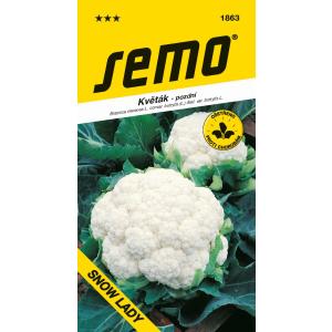 Semo Blomkål, sommer- og efterårstype, Snow Lady, 50’erne