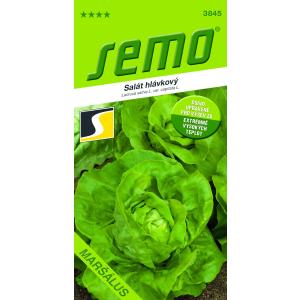 Semo Salat, helårs sort, Maršálus Profi, marktype, 0,5 g