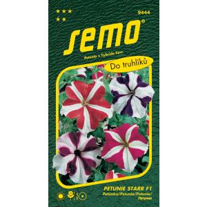 Semo Petunia, storblomstret, Star F1, 30 stk.