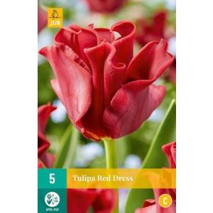 Tulipan Red Dress "C"