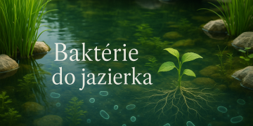 Bakterier til dammen