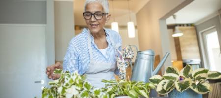 Hvordan omplantes stueplanter korrekt, så de ikke visner?