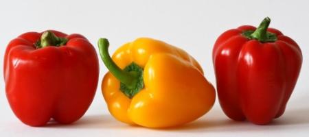 Hvordan dyrker og plejer man paprika korrekt?