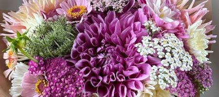 Sådan dyrker man blomster på en blomsterfarm. Prøv det også derhjemme