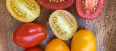 Vi har testet forskellige tomatsorter. Hvilke smager bedst?